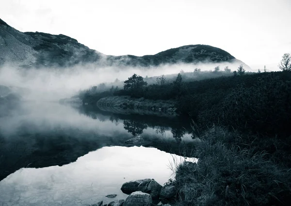 A beautiful mountain lake in a fog in Tatry, Slovakia. Low saturation retro style — Stock Photo, Image