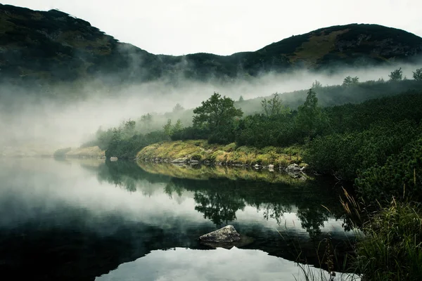 Bir sis Tatry, Slovakya güzel dağ gölde. Düşük doygunluk retro tarzı