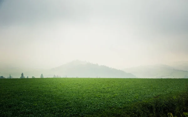 Μια όμορφη misty Σλοβακίας ορεινό τοπίο στο Tatras χαμηλής — Φωτογραφία Αρχείου