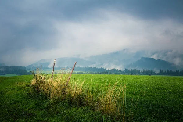 Et vakkert slovakisk fjellandskap i Low Tatras. – stockfoto