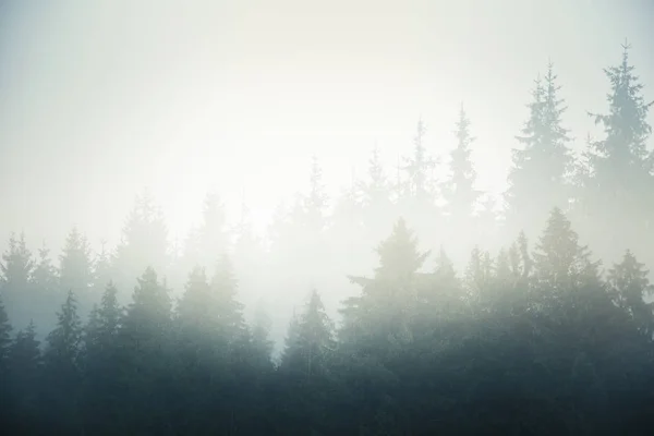 A beautiful Slovakian mountain scenery in Low Tatras — Stock Photo, Image