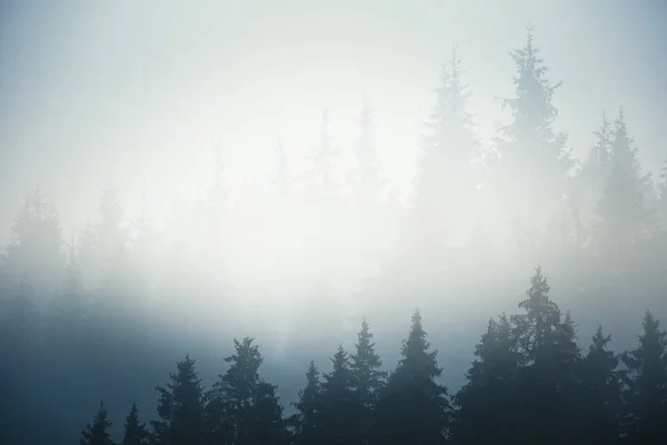 Uma bela paisagem de montanha eslovaca em Low Tatras — Fotografia de Stock