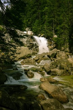 Güzel dağ nehir manzarası Tatry, Slovakya