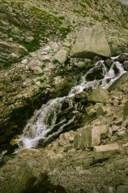 Güzel dağ nehir manzarası Tatry, Slovakya