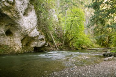 Güzel dağ nehir manzarası Tatry, Slovakya