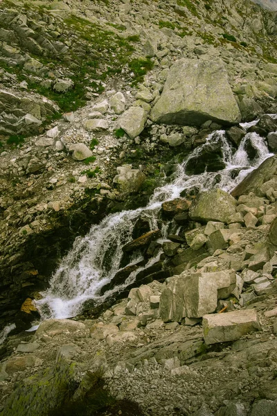 Güzel dağ nehir manzarası Tatry, Slovakya