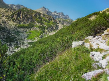 Güzel dağ manzarası Tatry, Slovakya