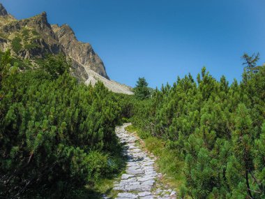 Güzel dağ manzarası Tatry, Slovakya