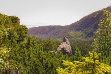 Güzel dağ manzarası Tatry, Slovakya