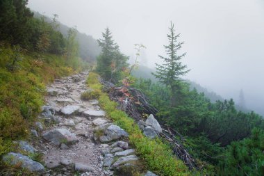 Güzel dağ manzarası Tatry, Slovakya