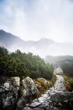 Güzel dağ manzarası Tatry, Slovakya
