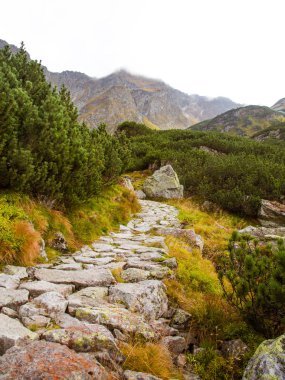 Güzel dağ manzarası Tatry, Slovakya