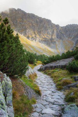 Güzel dağ manzarası Tatry, Slovakya