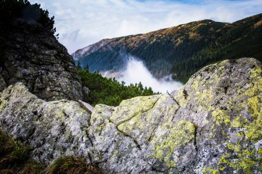 Güzel dağ manzarası Tatry, Slovakya