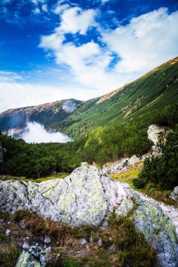 Güzel dağ manzarası Tatry, Slovakya