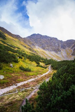 Güzel dağ manzarası Tatry, Slovakya