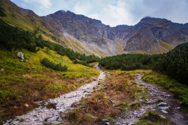 Güzel dağ manzarası Tatry, Slovakya