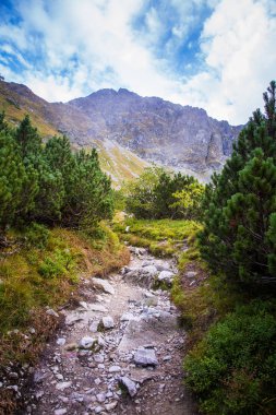 Güzel dağ manzarası Tatry, Slovakya