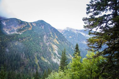 Güzel dağ manzarası Tatry, Slovakya
