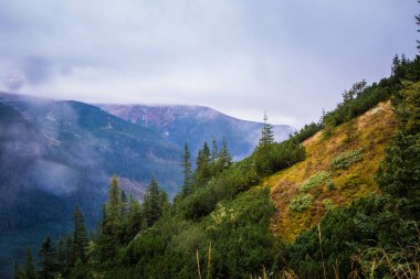 Güzel dağ manzarası Tatry, Slovakya