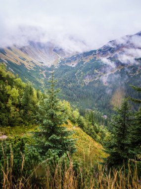 Güzel dağ manzarası Tatry, Slovakya