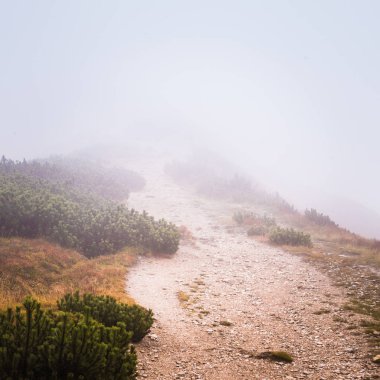 Güzel dağ manzarası Tatry, Slovakya