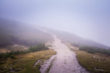 Güzel dağ manzarası Tatry, Slovakya