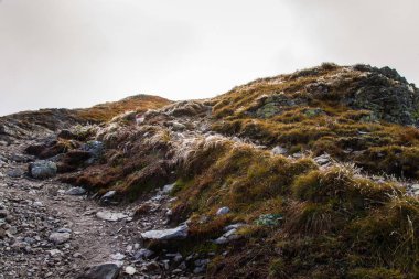 Güzel dağ manzarası Tatry, Slovakya