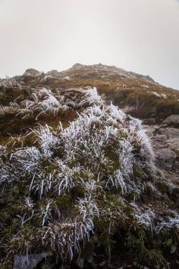 Güzel dağ manzarası Tatry, Slovakya