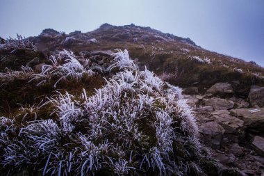 Güzel dağ manzarası Tatry, Slovakya