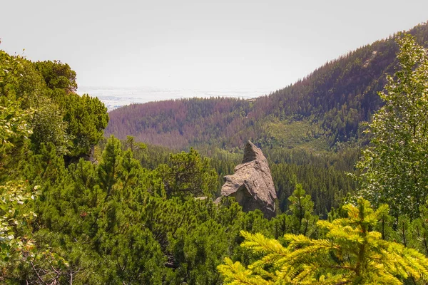 Güzel dağ manzarası Tatry, Slovakya