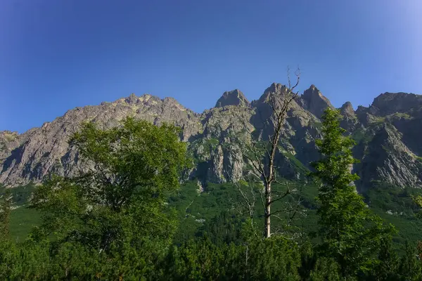 Ett vackert bergslandskap i Tatry, Slovakien — Stockfoto