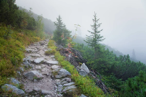 Güzel dağ manzarası Tatry, Slovakya