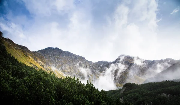Güzel dağ manzarası Tatry, Slovakya