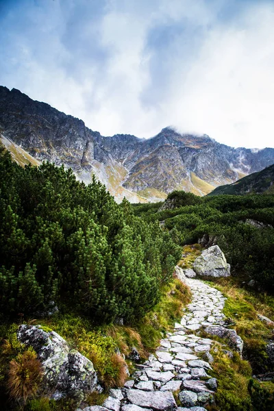 Güzel dağ manzarası Tatry, Slovakya