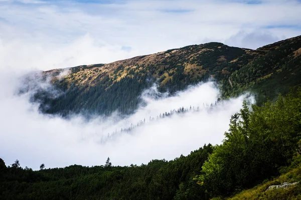 Güzel dağ manzarası Tatry, Slovakya