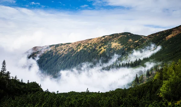Güzel dağ manzarası Tatry, Slovakya