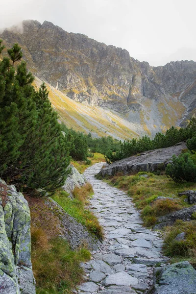 Güzel dağ manzarası Tatry, Slovakya