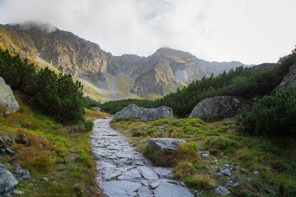 Güzel dağ manzarası Tatry, Slovakya