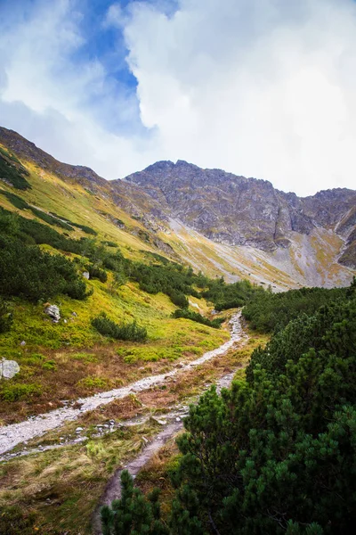 Güzel dağ manzarası Tatry, Slovakya — Stok fotoğraf