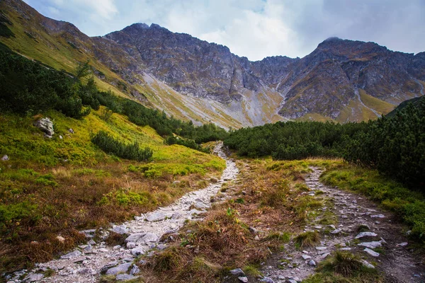 Güzel dağ manzarası Tatry, Slovakya