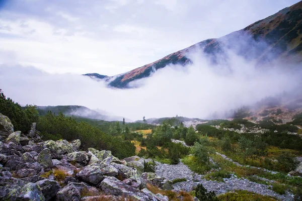 Güzel dağ manzarası Tatry, Slovakya