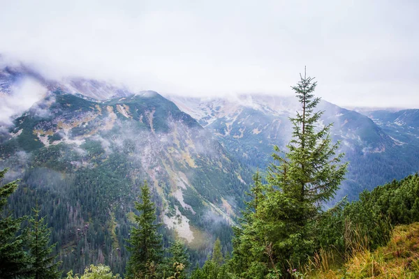 Güzel dağ manzarası Tatry, Slovakya
