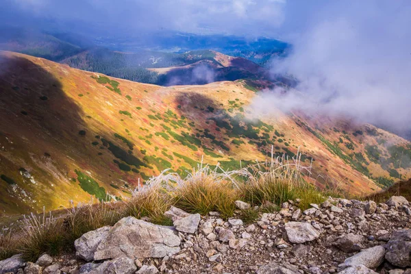 Güzel dağ manzarası Tatry, Slovakya