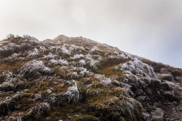 Güzel dağ manzarası Tatry, Slovakya