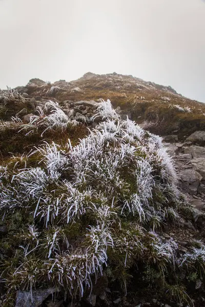 Güzel dağ manzarası Tatry, Slovakya