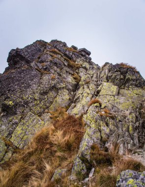 Güzel dağ manzarası Tatry, Slovakya
