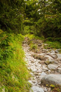 Güzel dağ manzarası Tatry, Slovakya