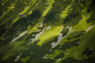 Güzel dağ manzarası Tatry, Slovakya