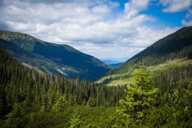 Güzel dağ manzarası Tatry, Slovakya